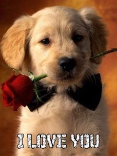 I Love You