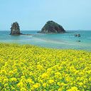 Korea 