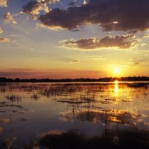 Botswana - Delta