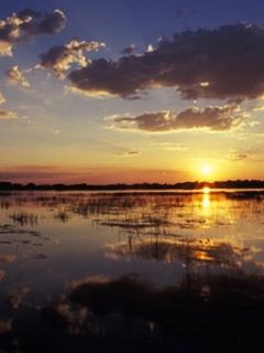 Botswana - Delta