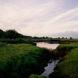 Marshland Sunset 