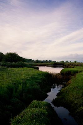 Marshland Sunset 