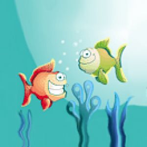 Aqarium