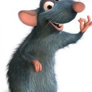 Ratatouille