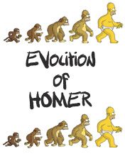 Evolution of Homer Simpson