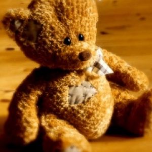 Teddy