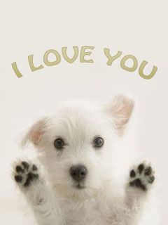I Love You