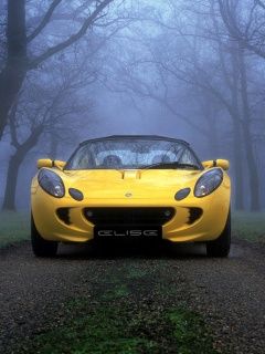 Lotus