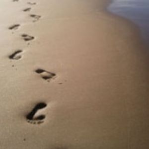 Foot In Sands