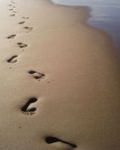 Foot In Sands