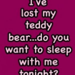 Teddy