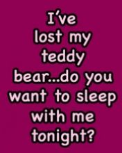 Teddy