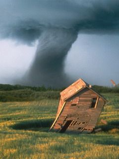 Twister