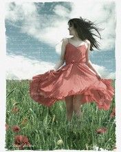 Summer Melody