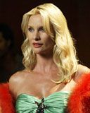 Nicollette Sheridan
