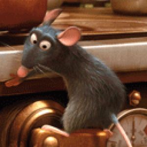 Ratatouille 