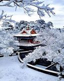 Shenyang