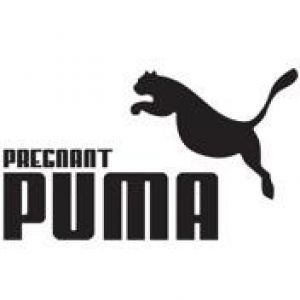 Pregnant Puma