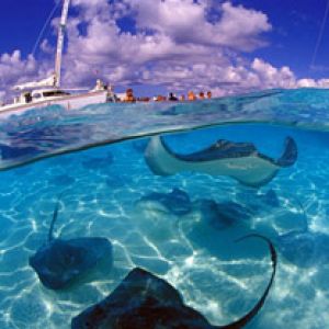 Grand Cayman 