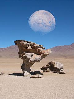 Piedra Arbol