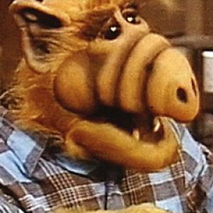 Alf