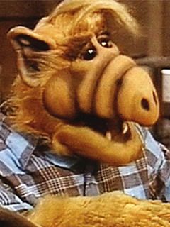 Alf