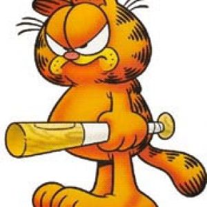 Garfield