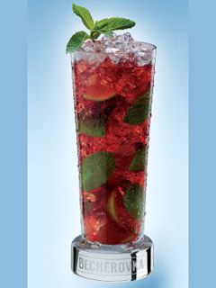 Bejito - Becherovka