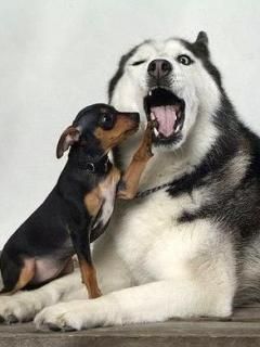 -