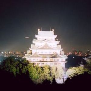 Nagoya Castle at Night