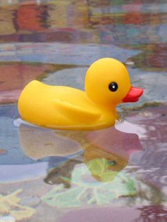 Yellow Rubber Duck 