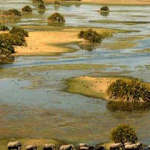 Safari by Botswana Odyssey