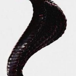 -