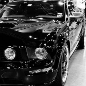 Mustang gt 500