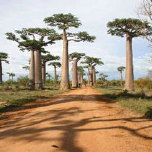 Madagascar