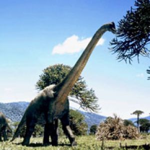 Brachiosaurus