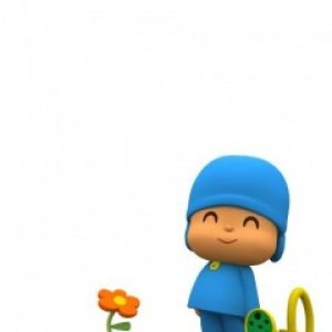Pocoyo