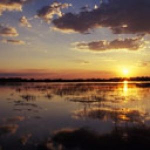 Botswana - Delta
