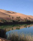 Libia