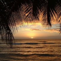 Sunset Tobago