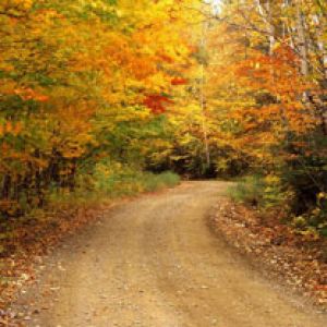 Autumn Color - Baxter State Park - Maine