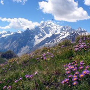 Mont Blanc