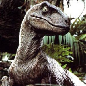 Velociraptor