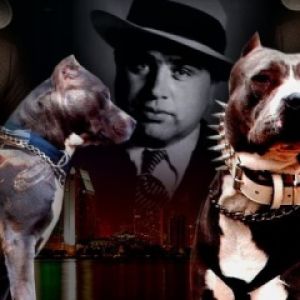 Al Capone