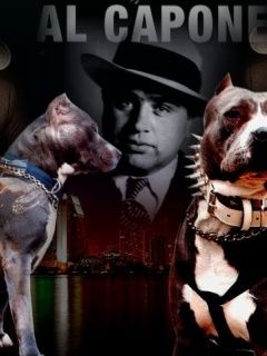Al Capone
