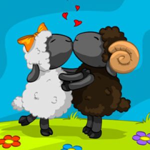 Ovecky