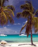 Tobago Cays Beach