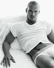 Freddie Ljungberg