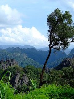 Laos