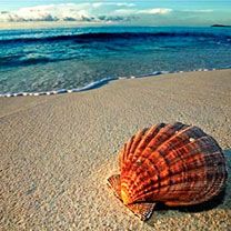 Seychelles 